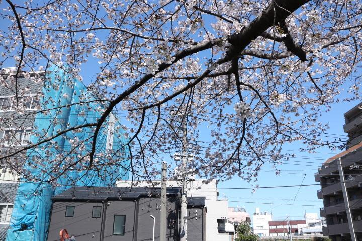 ネストイン田端 Tokio